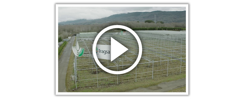 Vídeo del vivero de Maceda